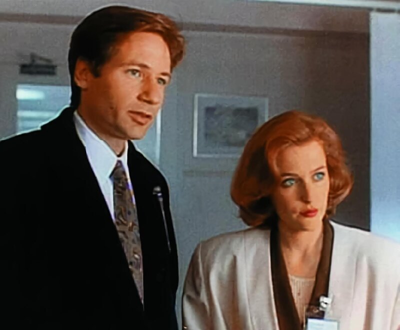 David Duchovny, Gillian Anderson – Bild: ORF (FS1/​FS2)