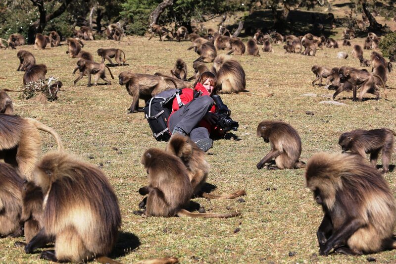 Gruppe Dscheladas – Bild: ZDF und Frank Gutsche