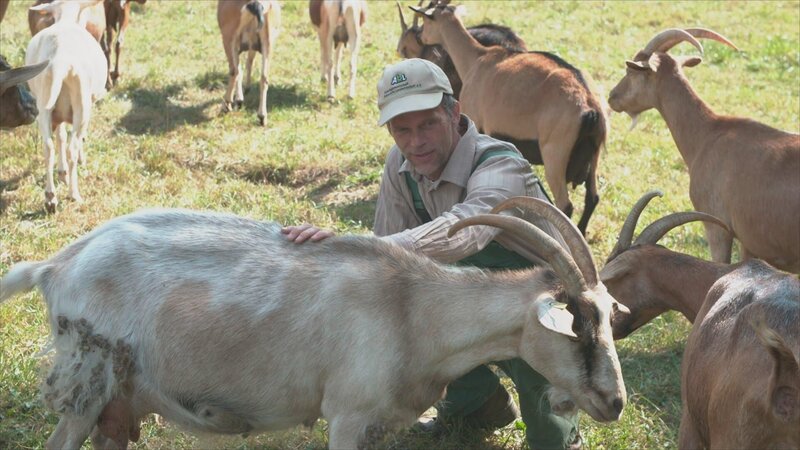 Reiko Wöllert von der Arbeitsgemeinschaft bäuerliche Landwirtschaft kämpft gegen Landgrabbing durch Großinvestoren in Ostdeutschland. – Bild: ZDF und Jonas Dress