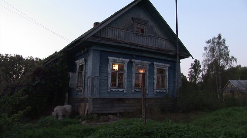 Das neue Zuhause des Luchskindes „Kiss“. – Bild: BR