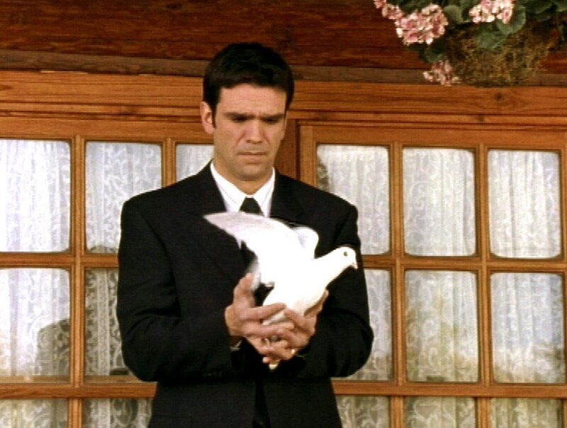 Dan (Dean Tarolly) trauert um seine Frau Connie. Er folgt ihrem letzten Willen und löst die von ihr gepflegt Taube frei. – Bild: c/​RTL II