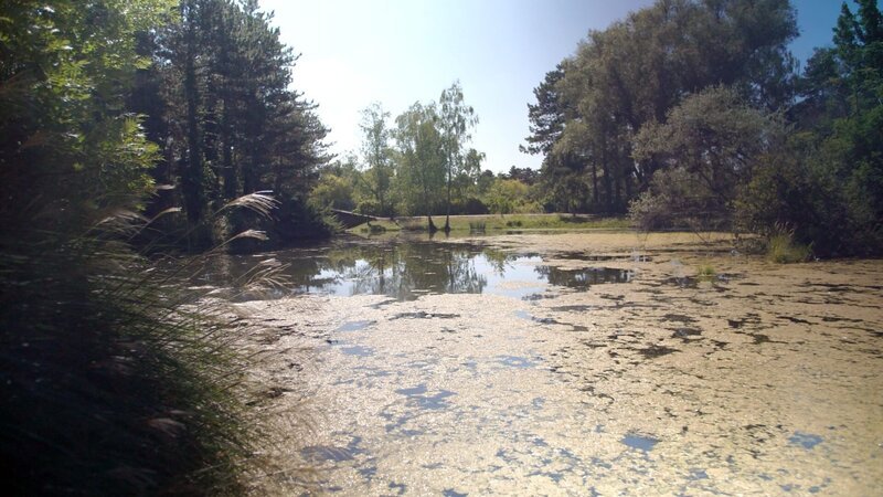 Wasserpark Floridsdorf. – Bild: ORF/​PATRICE FUCHS