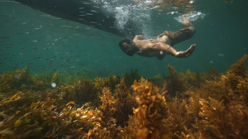 Hazen Audel schwimmt unter Wasser neben Fischen auf der Suche nach Hummern. – Bild: National Geographic for Disney /​ Disney