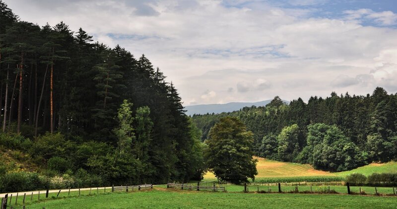  Landscape – Austria – Bild: Pixabay /​ Jerzy Górecki