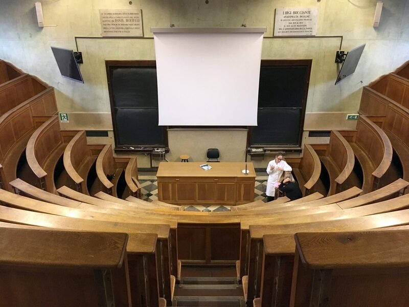 Faszien - Geheimnisvolle Welt unter der Haut – Bild: ORF/​Autenti