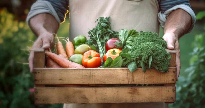 Die Landwirtschaft gibt es seit mehreren tausend Jahren. Doch ab wann wurde sie zu einer modernen Industrie? – Bild: ZDF und Tobias Lenz, Autorenkombinat