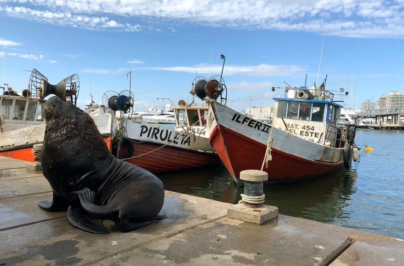 Impressionen – Punta del Este in Uruguay. – Bild: BR/​Bewegte Zeiten Filmproduktion GmbH/​André Goerschel