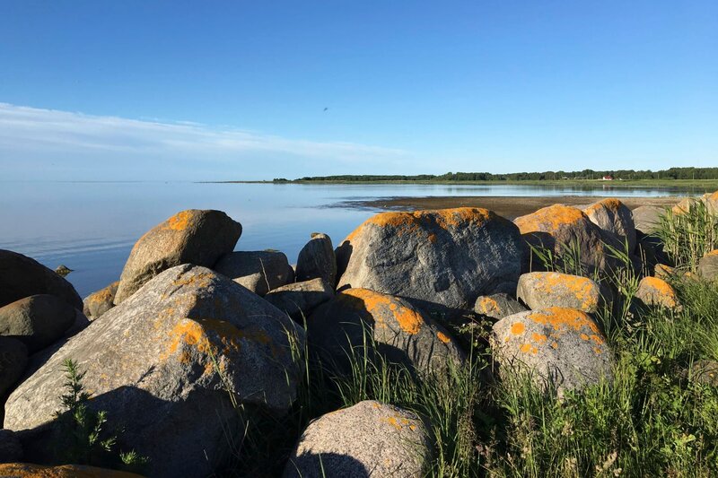 Eine Reise durch Estland – Bild: Julia Finkernagel