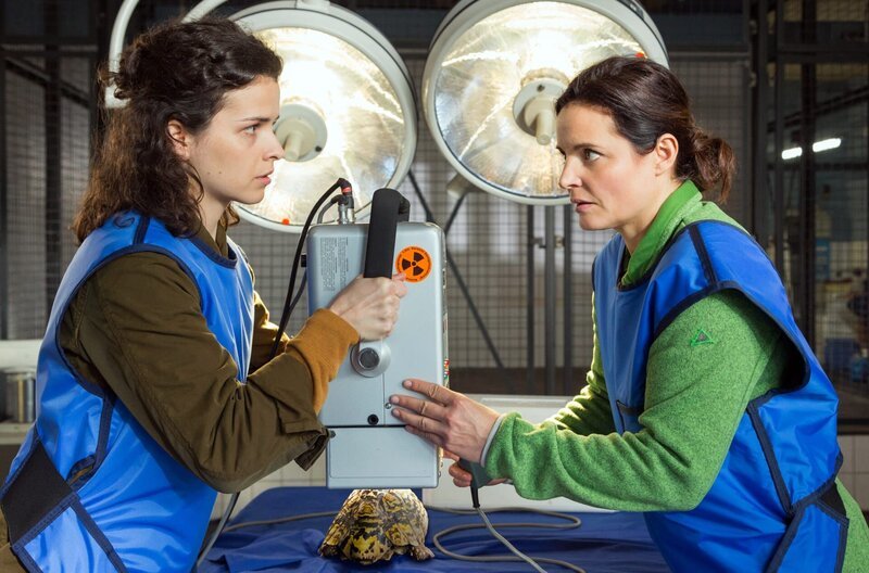 Tierärztin Susanne Mertens (Elisabeth Lanz, r.) und ihre Assistenzärztin Karoline Schneider (Maxine Kazis, l.) setzen modernste Hilfsmittel ein, um heraus zu finden, warum die Eier der Schildkröte nicht ploppen! Die Zusammenarbeit der beiden Tierärztinnen klappt bereits nach kurzer Zeit schon reibungslos. – Bild: ARD/​Steffen Junghans