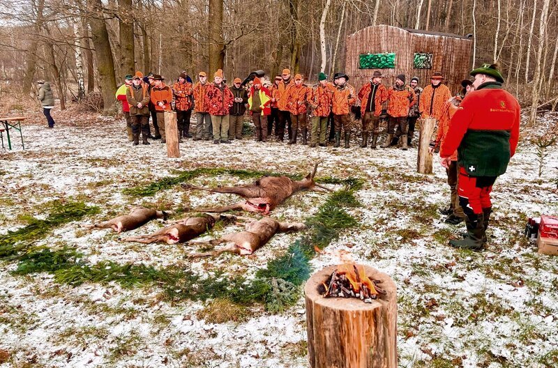in den Wäldern der Dübener heide rund um Reinharz hat Jagd eine lange Tradition. – Bild: MDR/​Tino Wiemeier