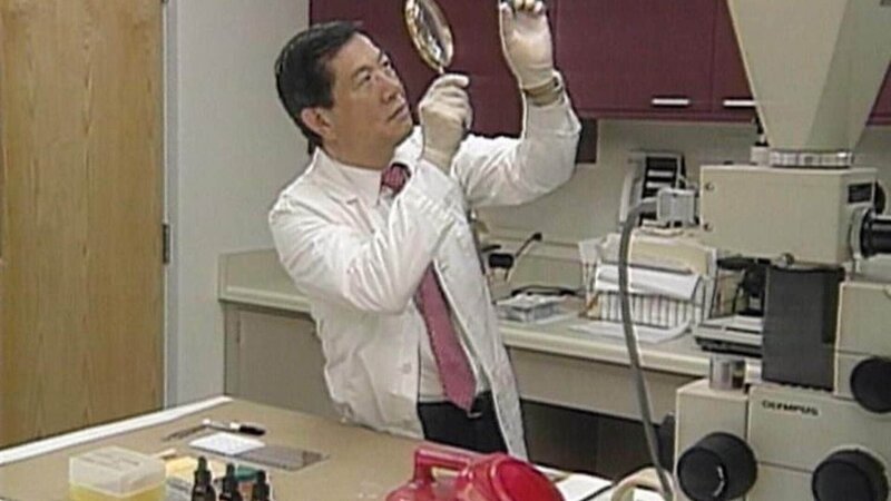 Mit detektivischer Genauigkeit untersucht der Pathologe Henry Lee die gefundene Haarsträhne. – Bild: RTL