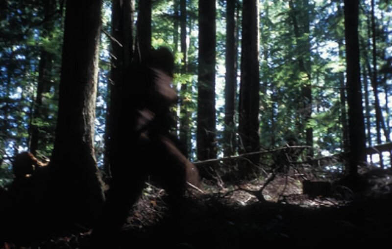 Recreation of Bigfoot running through the woods. – Bild: National Geographic Society