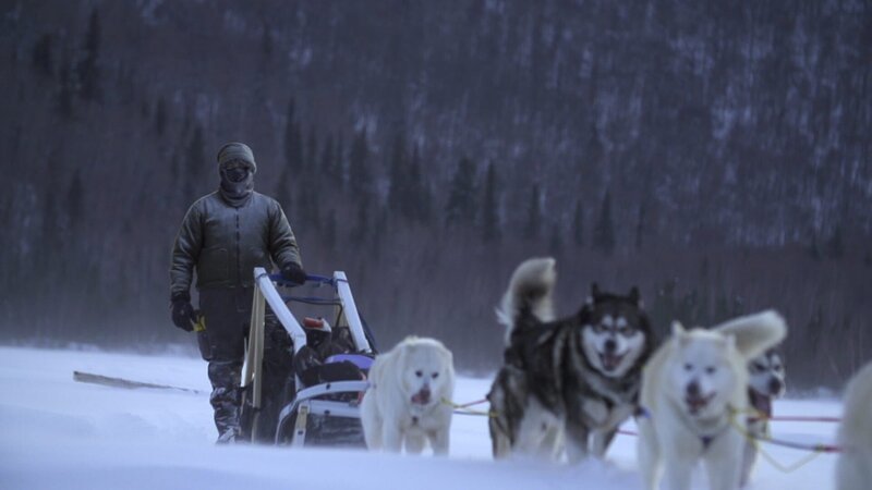 Michael Manzo schlittelt mit seinem Hundegespann zum Eisfischen auf den Volkmarsee. (National Geographic) – Bild: National Geographic /​ National Geographic