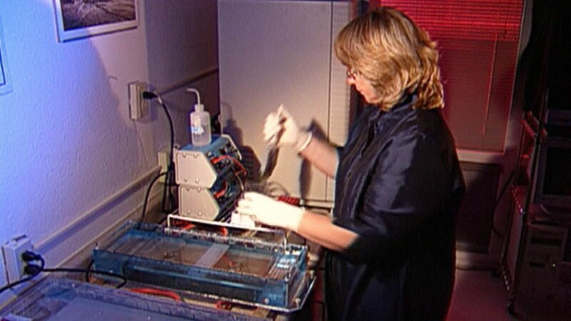 Bild: TVNOW
