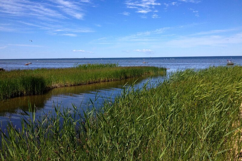 Am Nordostzipfel von Neuseelands Südinsel: die Marlborough Sounds  – Bild: HR/​Julia Finkernagel