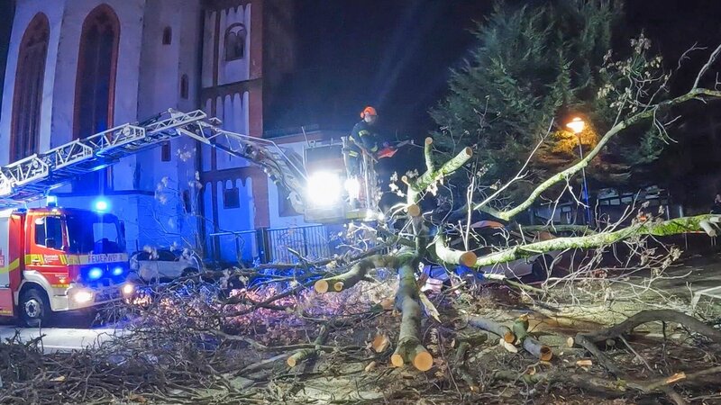 Firefighters are removing a fallen tree. – Bild: Warner Bros. Discovery, Inc.