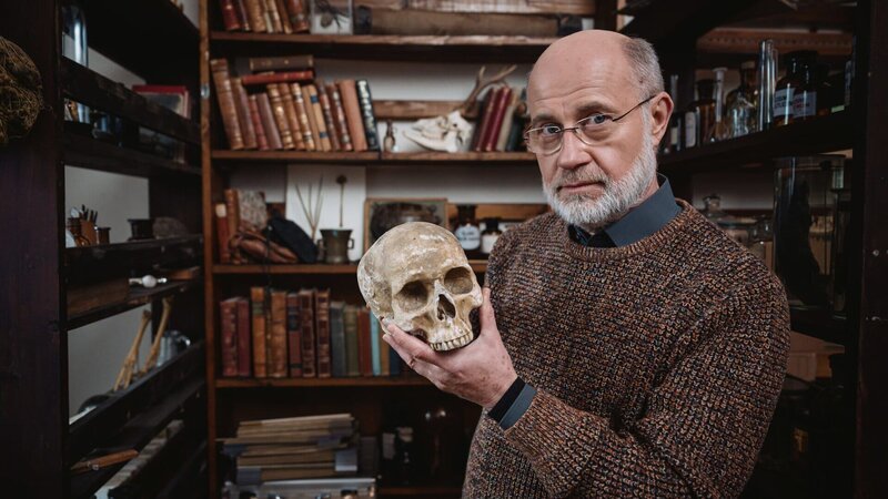 Lässt sich in der Natur ein universeller Sinn des Lebens finden – oder ist das eine falsche Fährte? – Bild: Lukas Salna