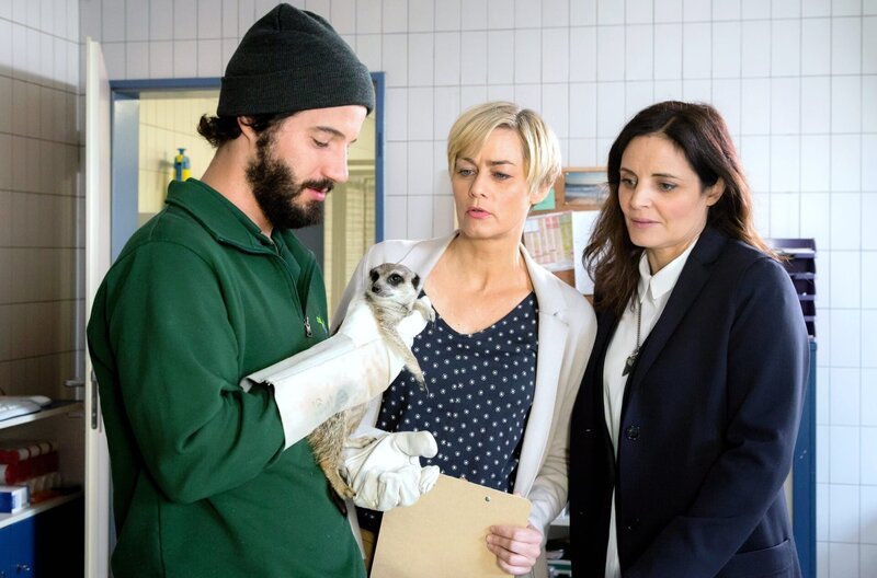 Das auf dem Flughafen sicher gestellte Erdmännchen ist eventuell mit einem tödlichen Virus infiziert. Tierarztassistent Kai (Manuel Mairhofer, l.) möchte von Zoodirektorin Frau Dr. Wörner (Gesine Cukrowski, M.) wissen, was zu tun ist. Tierärztin Susanne Mertens (Elisabeth Lanz, r.) berät gern. – Bild: ARD/​Steffen Junghans