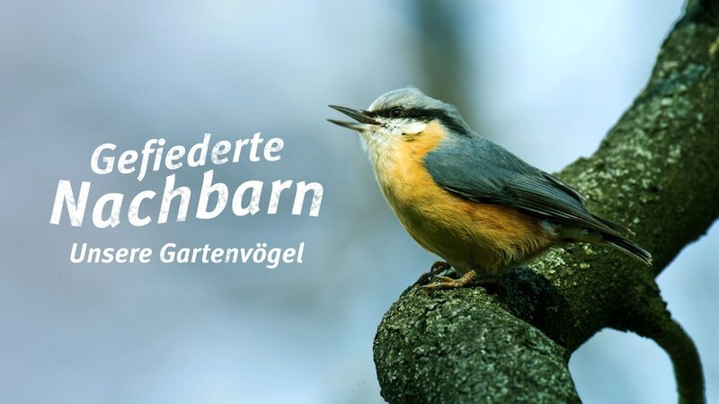 – Bild: RTL – Bild: RTL