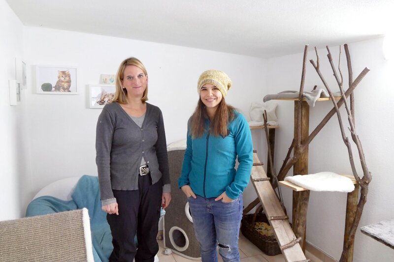 In der „Villa Samtpfote“ können Katzen ihren Urlaub verbringen. Nur Tiere, die sich kennen, teilen bei Daniela das Katzenzimmer. – Bild: BR/​TEXT + BILD Medienproduktion GmbH & Co. KG