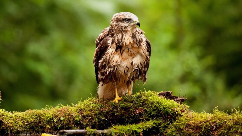  – Bild: CuriosityStream Inc.