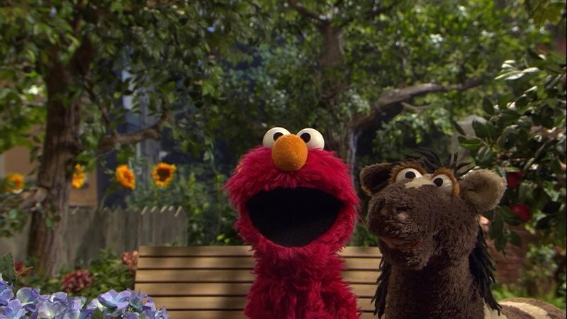 Pferd (r.) sucht noch nach einem Versteck vor Elmo (l.). – Bild: NDR/​Sesame workshop