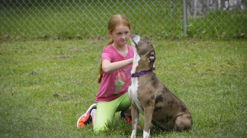 Girl cuddle a dog. – Bild: Animal Planet /​ Discovery Communications