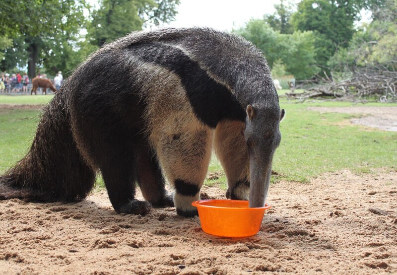 Bild: Jens Klinger /​ BR, SWR /​ BR/​SWR/​Jens Klinger