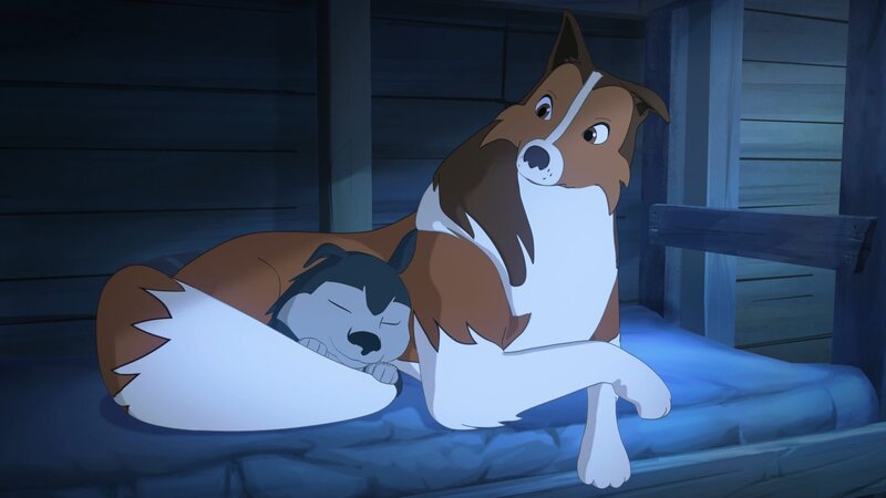 In einer Fischerhütte finden Lassie und das Wolfsjunge Schutz vor dem Schneesturm. – Bild: Superprod, ZDF, ZDFE