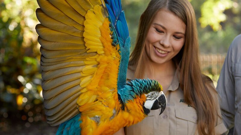 Bindi Irwin with parrot on arm and wings spread. – Bild: Discovery Communications, LLC/​Kevin Lynch