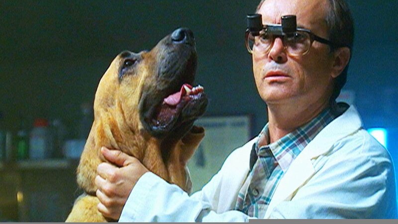 In der kleinen Stadt Jackpot wird der örtliche Tierarzt, Dr. Dale Sterling (Jeffrey Combs), mit einem schrecklichen Mord konfrontiert. – Bild: TVNOW /​ CBS