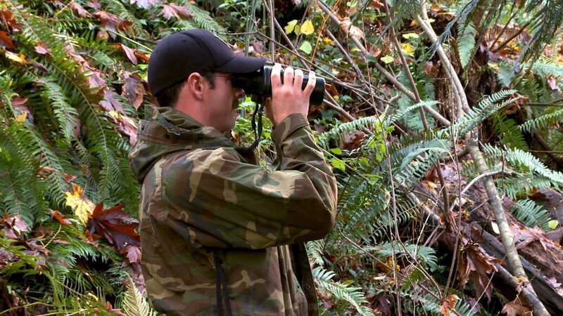 Summit watching salmon snaggers. – Bild: PLURIMEDIA (Animal Planet)