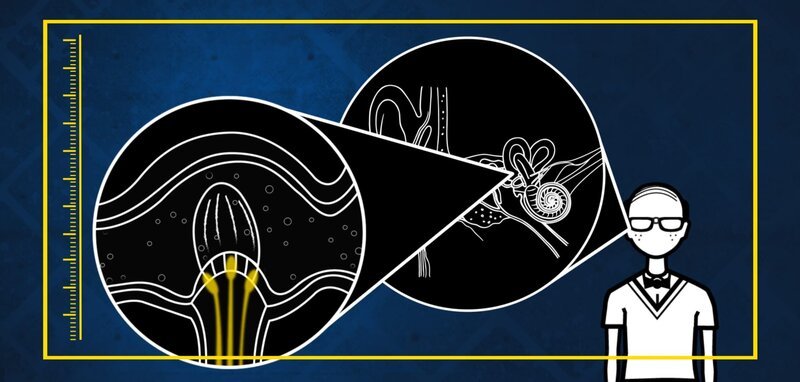 A science character head banging which illustrates the effect on his inner ears.  (photo credit: National Geographic Channels/​IWC) – Bild: Copyright © The National Geographic Channel.