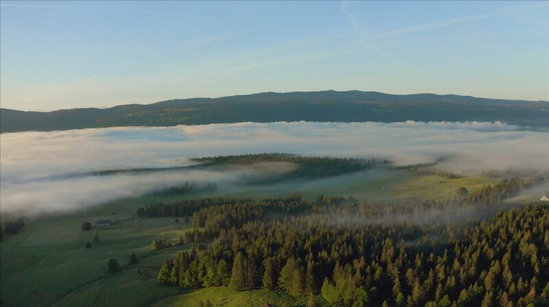 Juraweiden und Risoud-Wald. – Bild: SRF/​doc.station