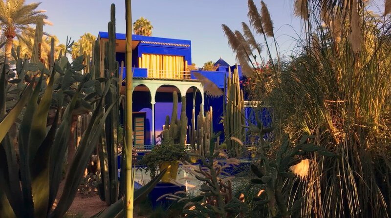 Blick auf den Garten Jardin Majorelle in Marrakesch. – Bild: 3sat