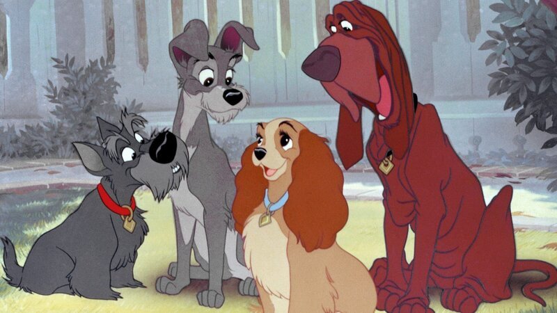 L-R: Jock, Tramp, Lady, Trusty – Bild: Disney+ L-R: Jock, Tramp, Lady, Trusty – Bild: Disney+