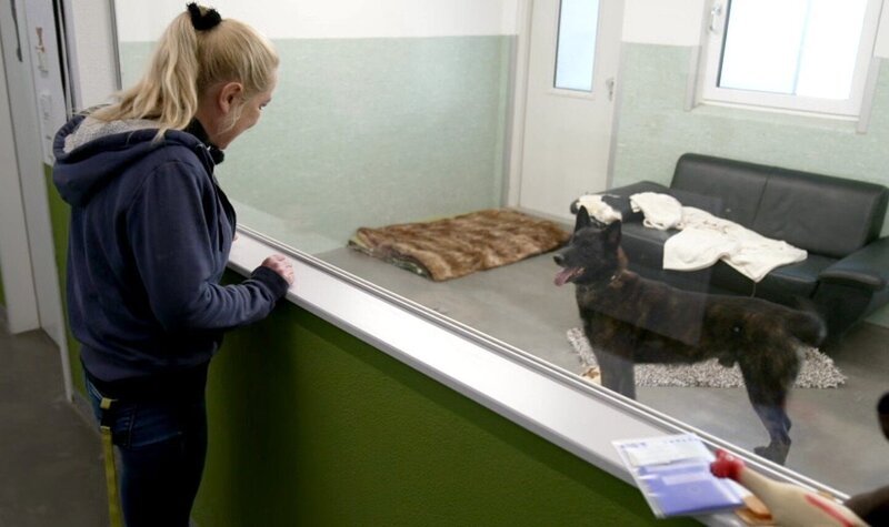 Hund Siggi mit Britta Merkel – Bild: RTL