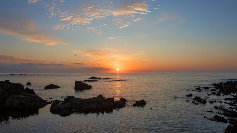 Bild: Torben Müller