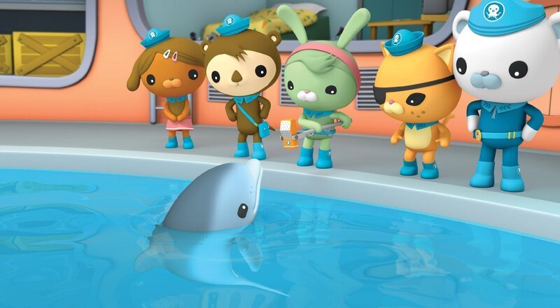 V.li.: Dana, Sebastian, Trixie, Kwasi und Käptn Barnius überlegen, wie sie den Baby-Delphin wieder zu seiner Mutter lotsen können. – Bild: SUPER RTL