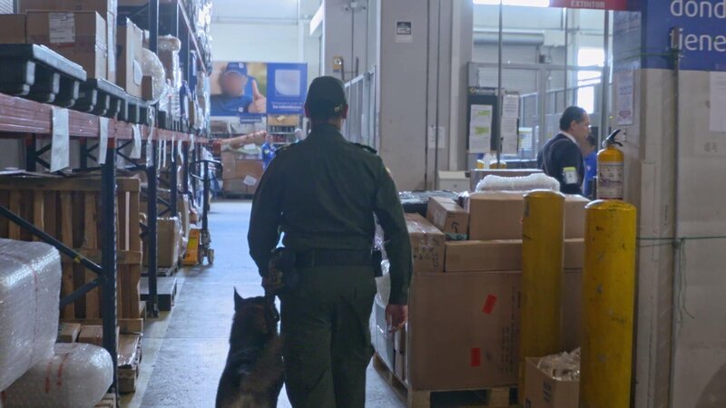 Spürhund – Bild: RTL /​ OMAVA LLC