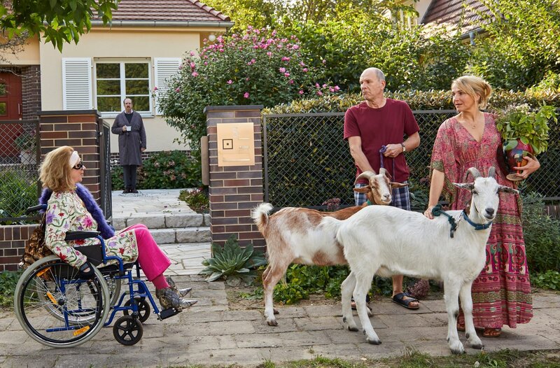 Klima retten für Anfänger – Bild: ARD Degeto/​Michael Handelmann