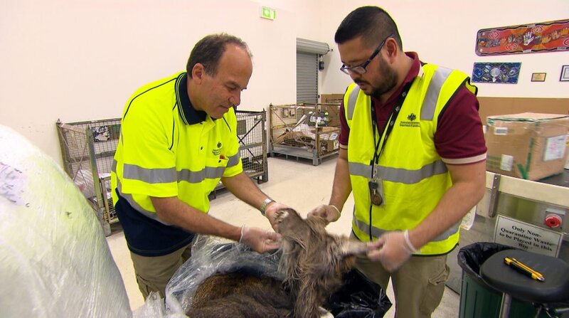 Bild: Seven Productions 2017 Lizenzbild frei