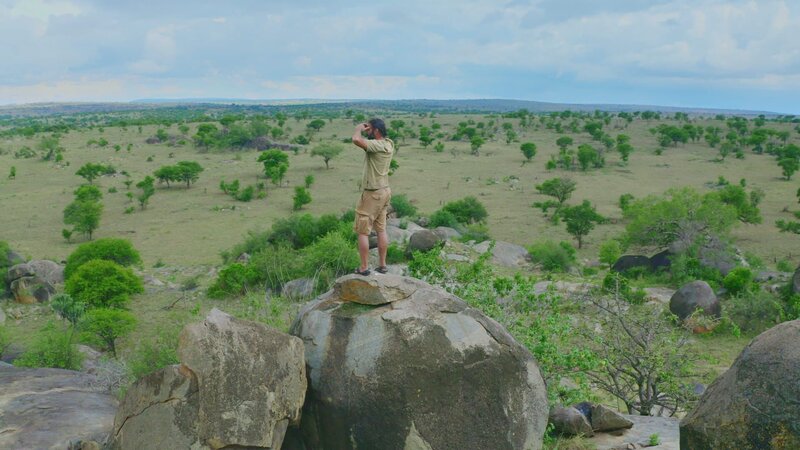 Hazen Audel klettert auf einen hohen Felsen, um einen besseren Blick auf die Stampede zu haben. – Bild: National Geographic for Disney /​ Disney
