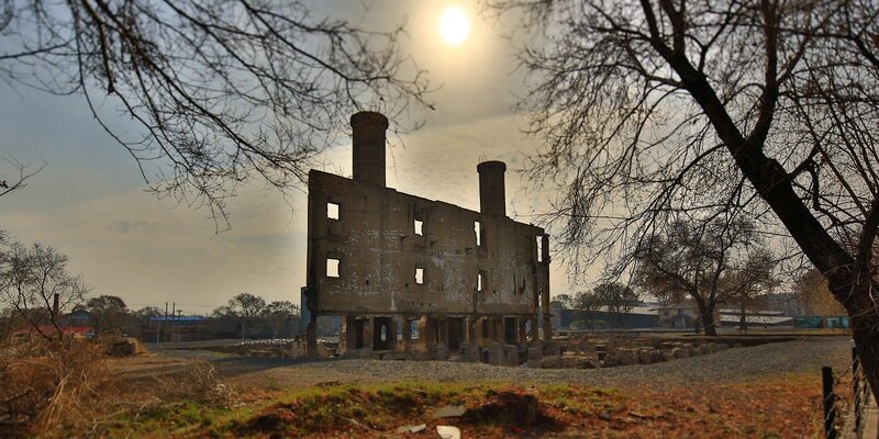 Bild: National Geographic