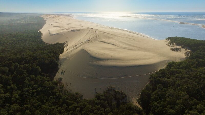 Einzigartig in Europa: Die gewaltigen Sandmassen der Dune du Pilat. An drei Seiten ist die Düne von Wald umgeben. – Bild: ZDF und arte, Philipp Klein