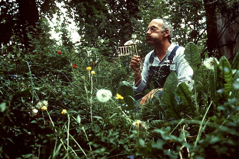 Peter, der Unkrautgärtner. Ist Löwenzahn ein Un-Kraut? Peter (Peter Lustig) geht der Sache auf den Grund. – Bild: ZDF und Dieter Mahlow.