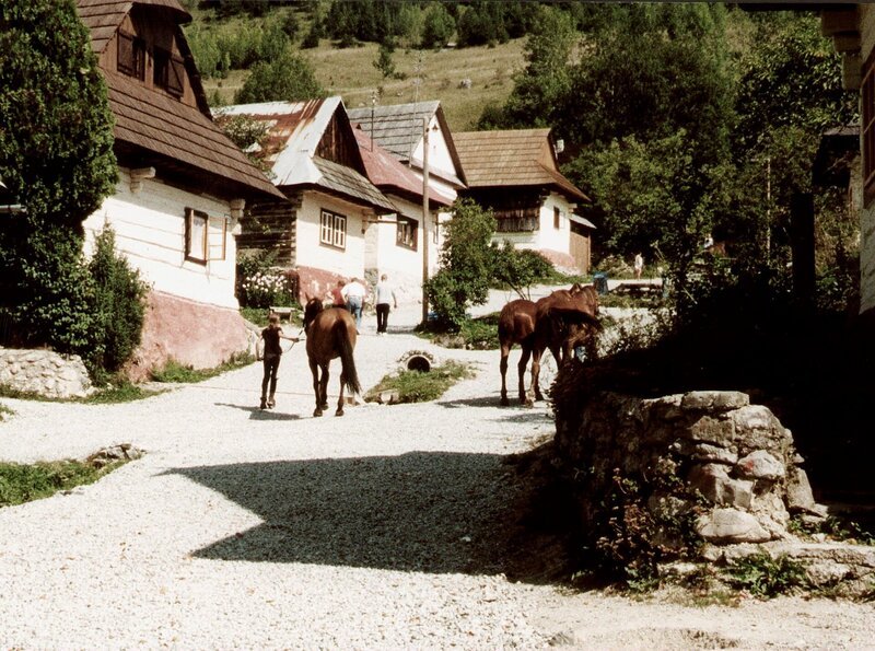 Ein intaktes Ensemble der Holzarchitektur in der Slowakei. Die einzige Straße von Vlkolinec mit den farbig angelegten Holzhäusern. – Bild: SWR/​SWR/​Brandenburg