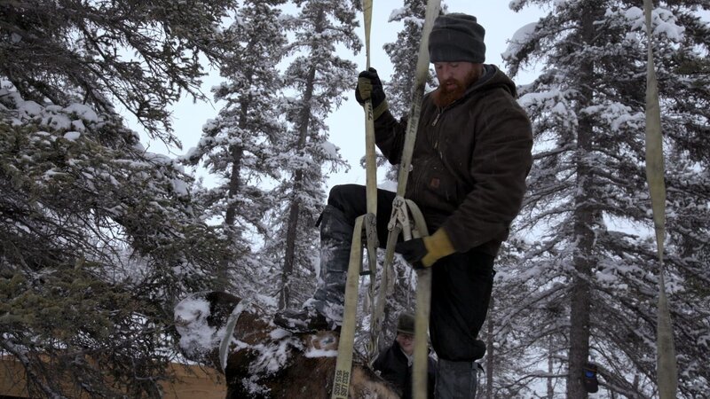 Kaleb Rowland hebt einen toten Elch von seinem Grundstück. (National Geographic) – Bild: National Geographic /​ National Geographic