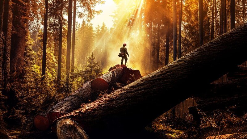 Bild: Discovery Channel