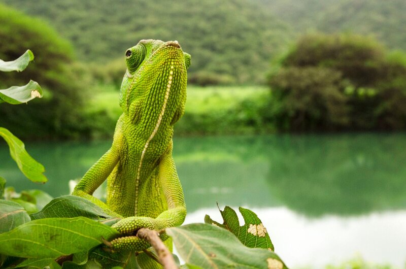 Bild: RTL /​ Sarah Titcombe /​ Der Oman